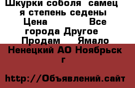 Шкурки соболя (самец) 1-я степень седены › Цена ­ 12 000 - Все города Другое » Продам   . Ямало-Ненецкий АО,Ноябрьск г.